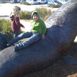 Seymour Marine Discovery Center