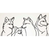 Coyote Storage gallery