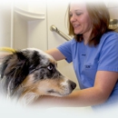 VCA Vaughn Road Animal Hospital - Veterinary Clinics & Hospitals