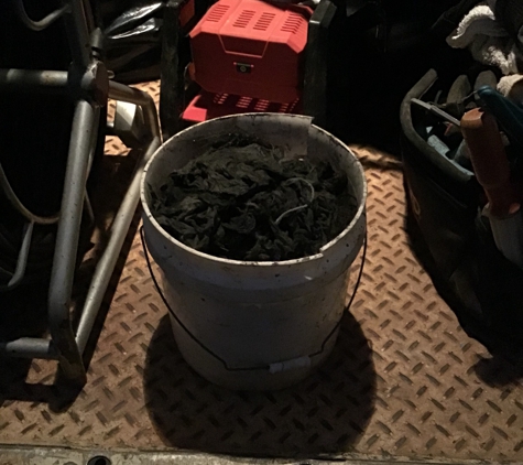 D & S Plumbing. Plumbing - bucket full of wipes removed from waste line