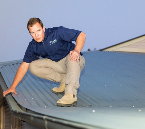 Asset Building & Pest Inspections