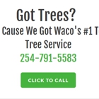 Best Waco Tree Service