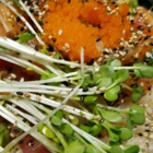 Ahipoki