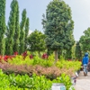 Moon Valley Nurseries gallery