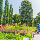 Moon Valley Nurseries