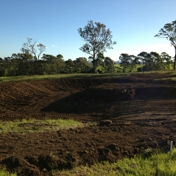 Gallery Image Number 5