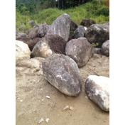 Gallery Image Number 6
