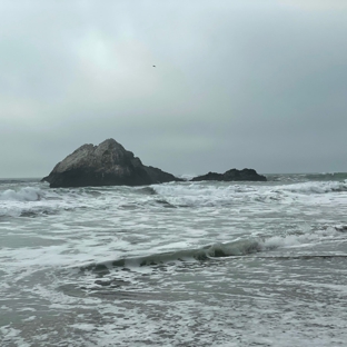 Seal Rock Research - San Francisco, CA