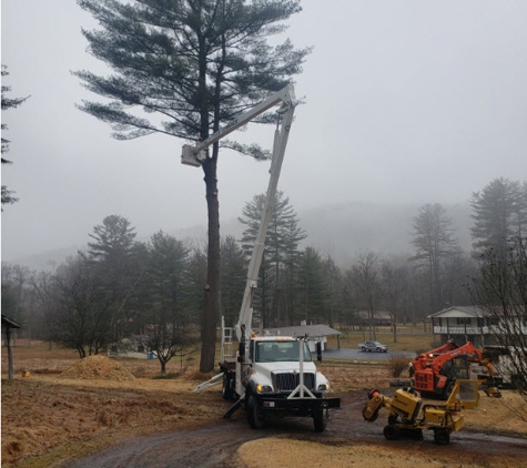 Saar's Tree Service,