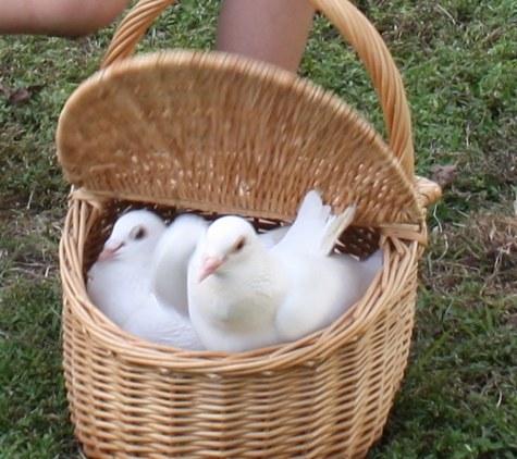 E&A Dove Release - Pensacola, FL