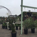 Marina Del Rey Garden Center - Nurseries-Plants & Trees