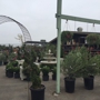 Marina Del Rey Garden Center