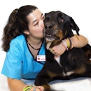 Broward Animal Hospital - Pet Services