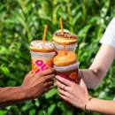 Dunkin  Donuts - Port Richey - Coffee Shops