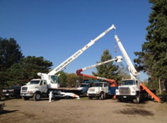 Metro Tree & Stump Service - Blaine, MN