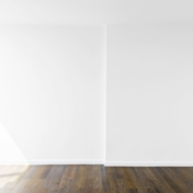Gallery Image Number 4