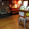 Hopewell Animal Hospital gallery