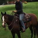 Cornerstone Equestrian - Riding Academies