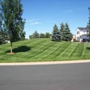 VP Landscaping - Landscape Contractors