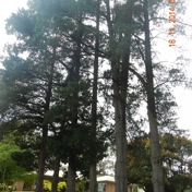 Gallery Image Number 1