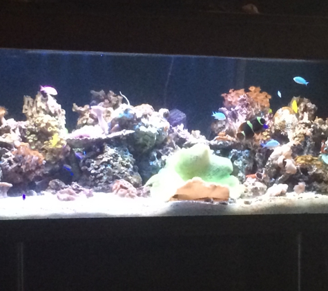 Don Antonio's - Los Angeles, CA. Awesome fish tank