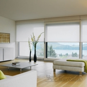 Gallery Image Number 4