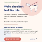 Four Leggers Pet Supplies & Services