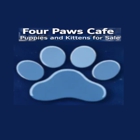 Four Paws Cafe