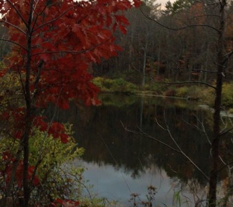 White Memorial Conservation Center - Litchfield, CT