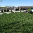 World of Green, Inc. - Lawn Maintenance