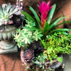 Ace's Flowers