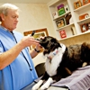 Animal Medical Clinic gallery