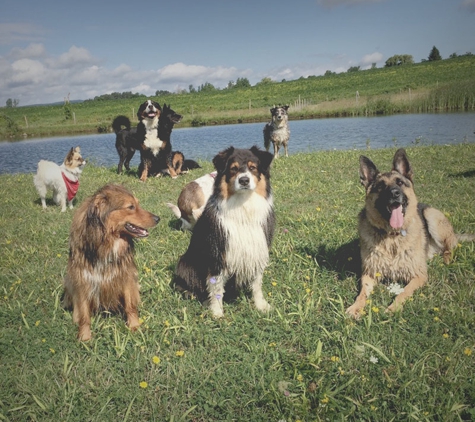 Hounds on the Hudson - Albany, NY