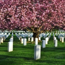 Saint Bernard's Cemetery - Cemeteries