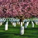 Saint Bernard's Cemetery