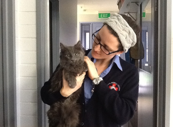 Animal Medical Centre Veterinary Hospital - Launceston, TAS