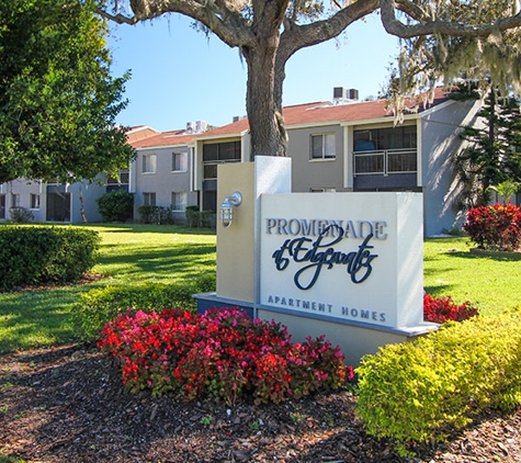 Promenade at Edgewater Apartments - Dunedin, FL