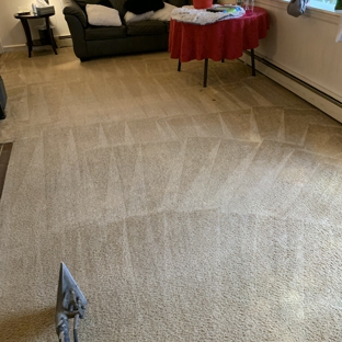Andrews & Family Carpet Cleaning - Philadelphia, PA. Commercial and residential properties are welcome. Carpet cleaning.