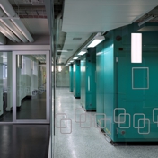 Gallery Image Number 6