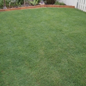 Gallery Image Number 8