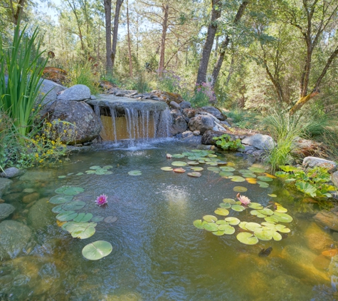 Verne Pershing The Art of Gardening - Placerville, CA. Medium Pond – Fiddletown, CA 2017