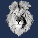 White Lion Moving & Storage - Self Storage