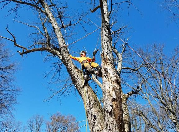 Old Town Tree Service - Pendleton, IN