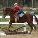 Horseback Riding Lessons / Cathy Weisbecker - Horse Boarding