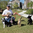 Shadow Creek Pet Daycare - Pet Services