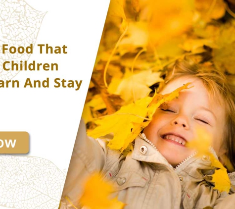 Play To Learn - Toukley, NSW. We Offer Food That Will Help Children Grow, Learn And Stay Alert