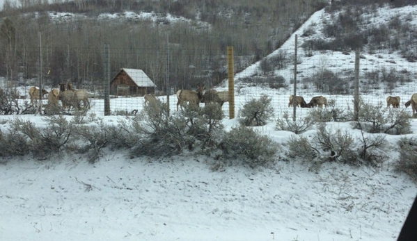 National Elk Refuge - Jackson, WY