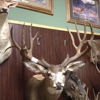 Werner Family Taxidermy gallery