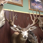 Werner Family Taxidermy