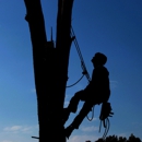 tree service logan - Tree Service